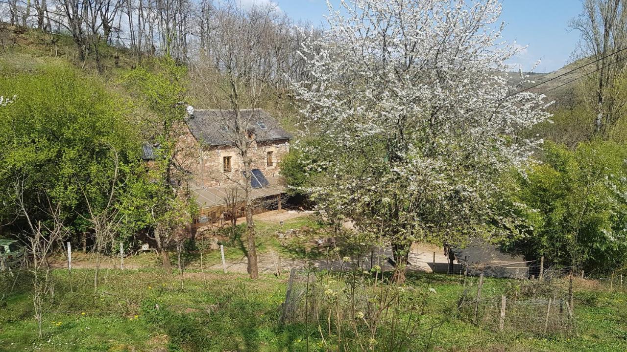 Maison Isolee Dans Les Vignes Et Les Bois Valady Kültér fotó