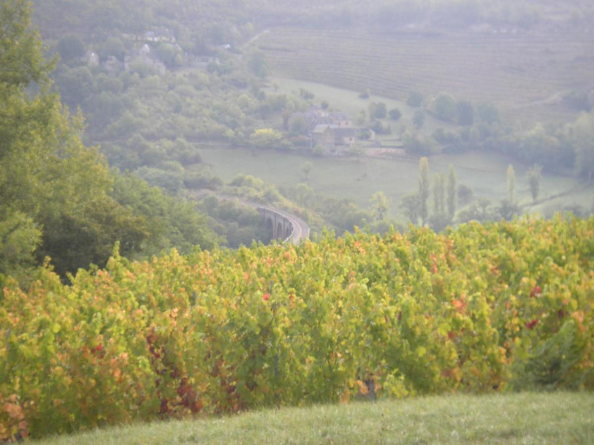Maison Isolee Dans Les Vignes Et Les Bois Valady Kültér fotó